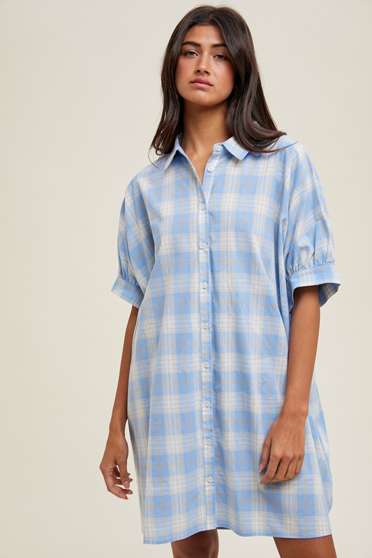 Bailey Oversized Blouse Dress
